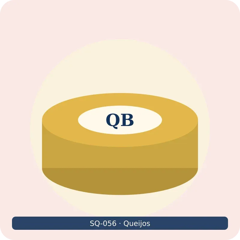 Queijo brie peça 125 g